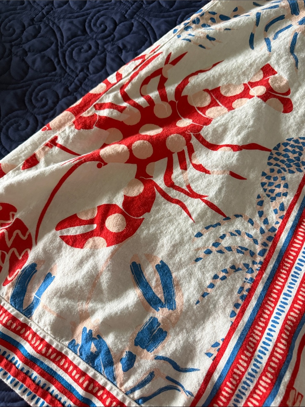 Rachel Zoe Red and Blue Nautical Print MIDI Skirt - Picture 3 of 5